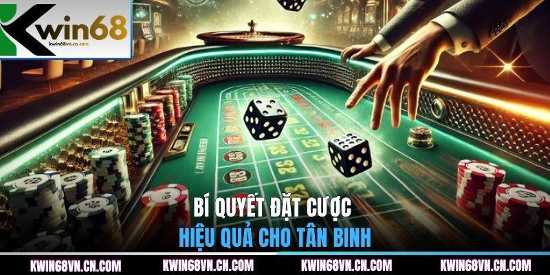 Bí quyết đặt cược hiệu quả cho tân binh