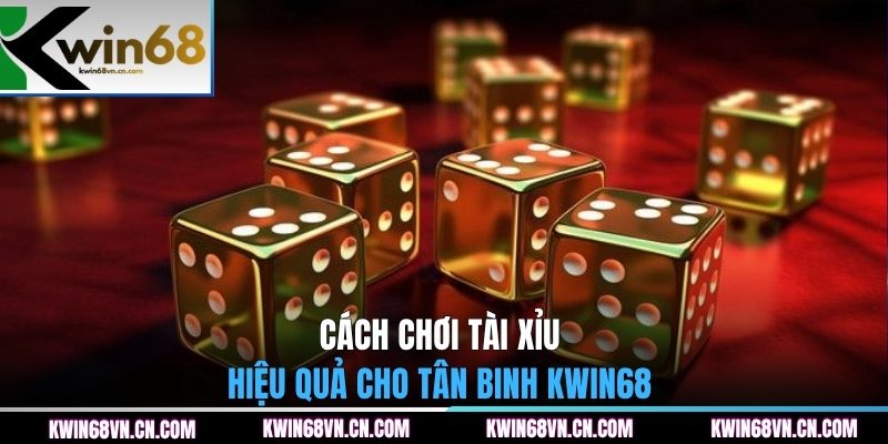 Cách chơi tài xỉu hiệu quả cho tân binh KWIN68 