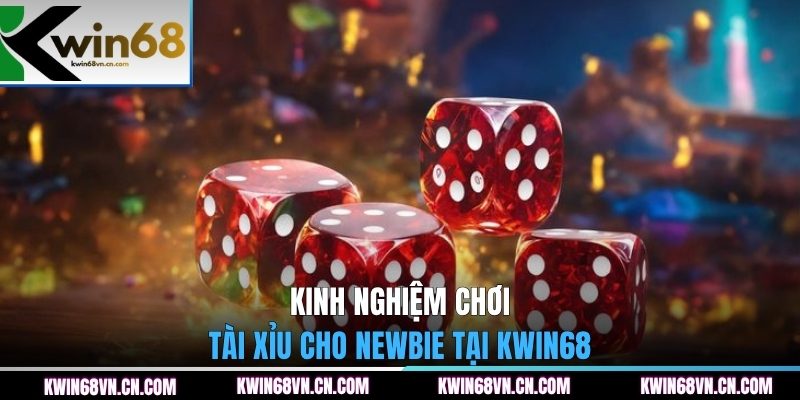 Kinh nghiệm chơi tài xỉu cho newbie tại KWIN68